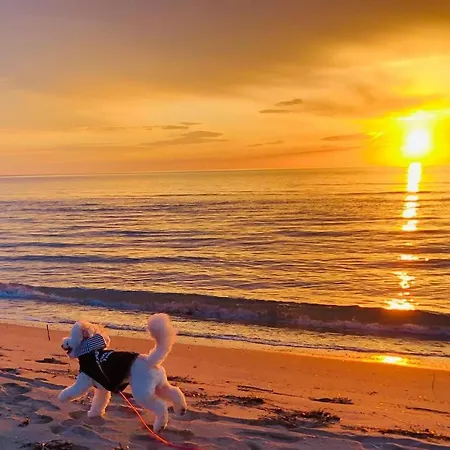 Valamar Cozy Hamallaj