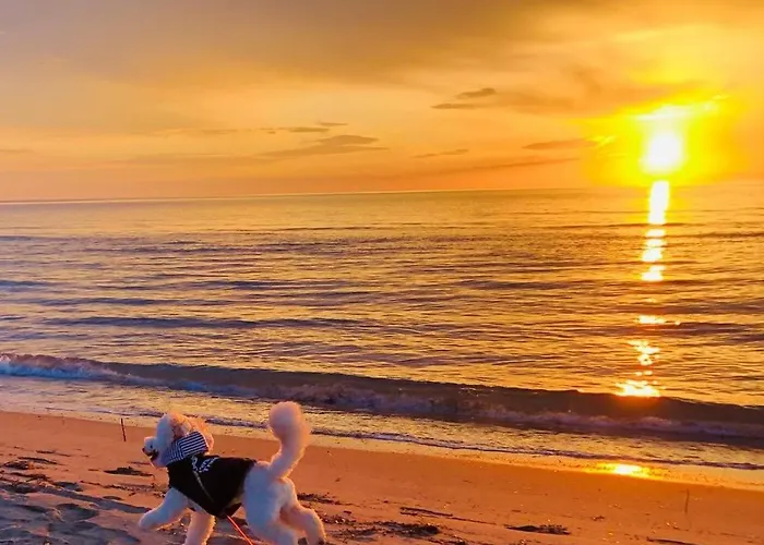 Valamar Cozy Hamallaj